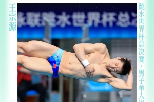 四連冠！王宗源獲得跳水世界杯總決賽男單3米板冠軍，鄭九源亞軍