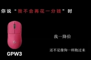 熱眾怒？羅技疑似刪除此前道歉聲明  此前曾放言降價用戶像狗一樣跑過來
