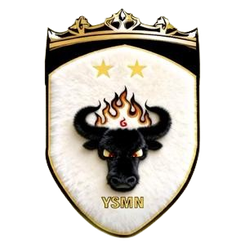 玉樹牦牛首發陣容