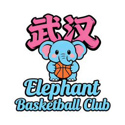 武漢大象籃球首發陣容