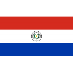 巴拉圭女足U17首發陣容