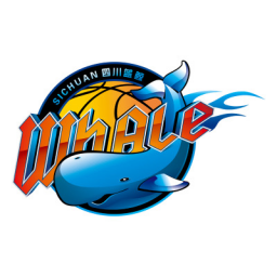 四川錦城首發陣容